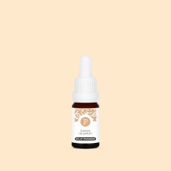 Parfum de bougie - Eclat d'Amande