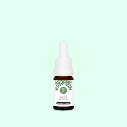 Parfum de bougie - Basilic Frais