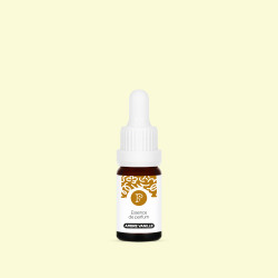 Parfum de bougie - Ambre Vanille