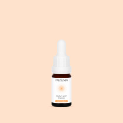 Parfum de bougie - Anti-tabac tropical