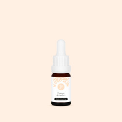 Parfum de bougie - Dolce Vita