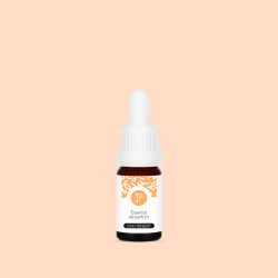 Parfum de bougie - Oud Désert
